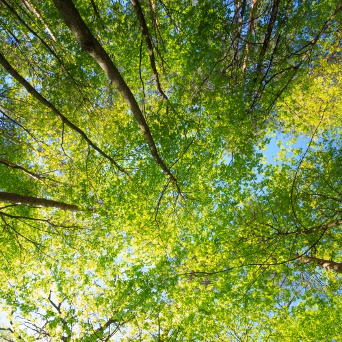 Sostenibilità nella stampa: come Arti Grafiche Etna utilizza materiali e tecnologie Green